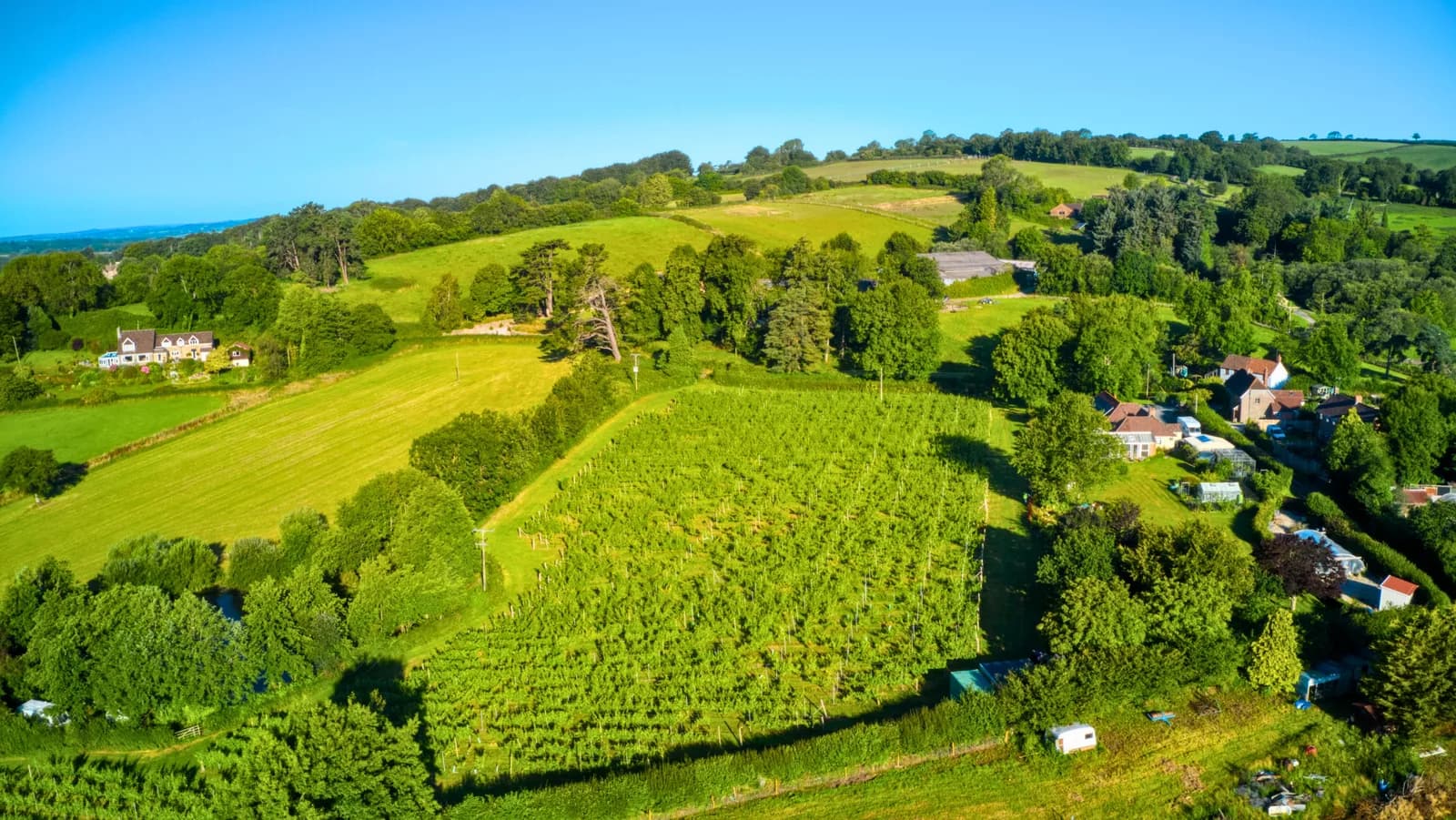 Wayford Westcountry — image 1