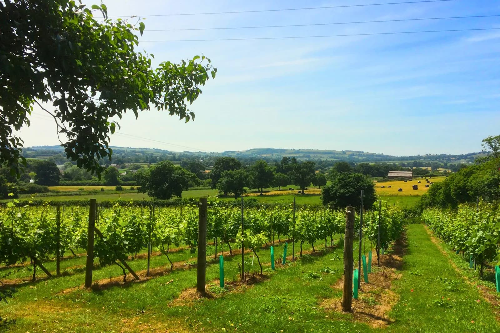 Wayford Westcountry — image 2