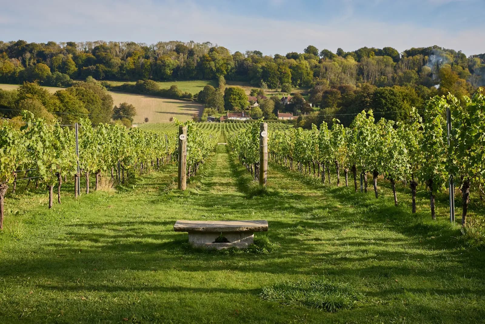 Hambledon — image 3