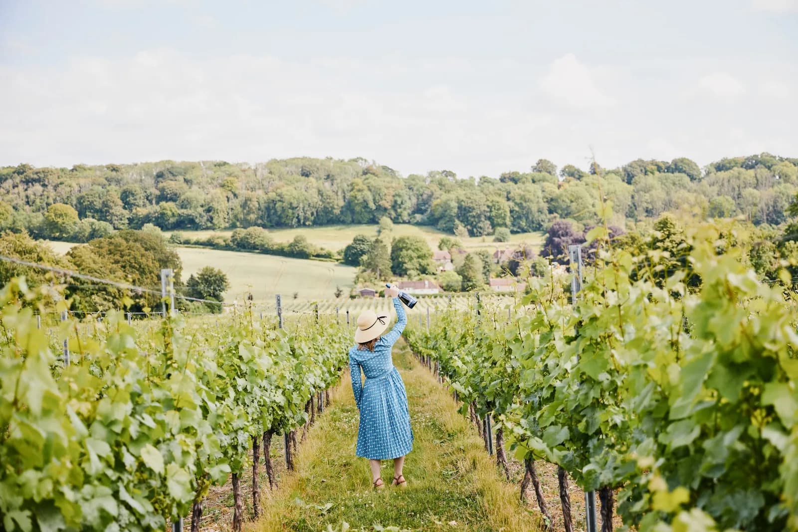 Hambledon — image 2