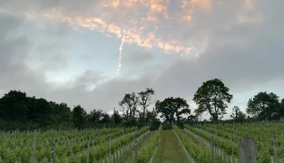 Tamar Valley — image 3