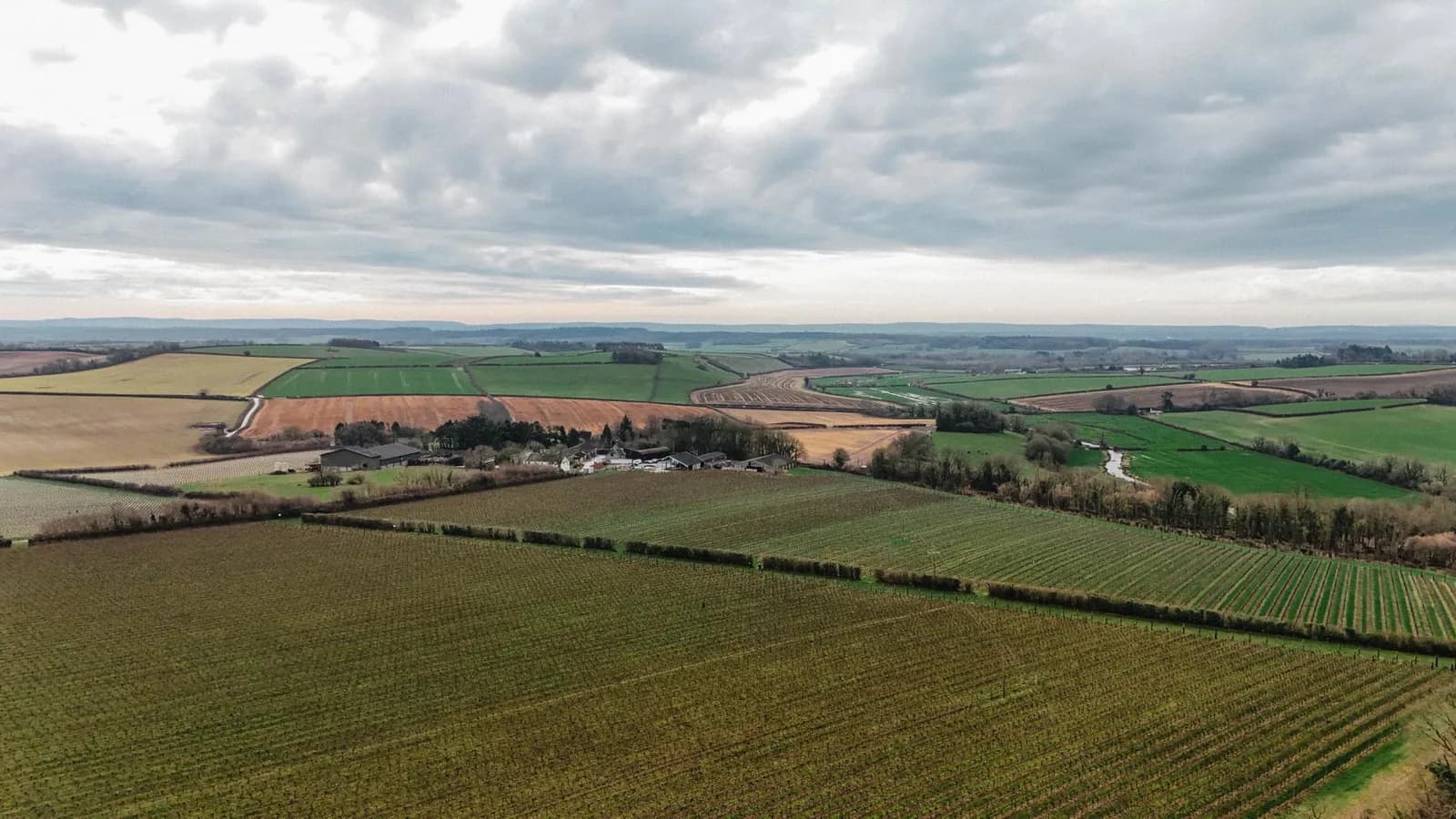 Langham — image 2