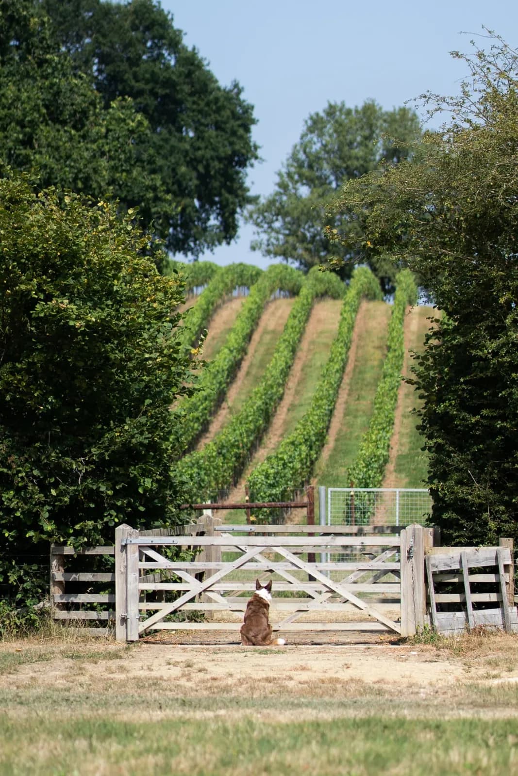 Abingworth — image 3