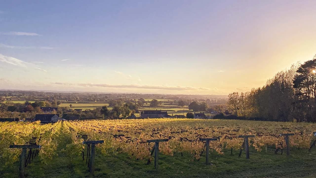 Wraxall — image 3