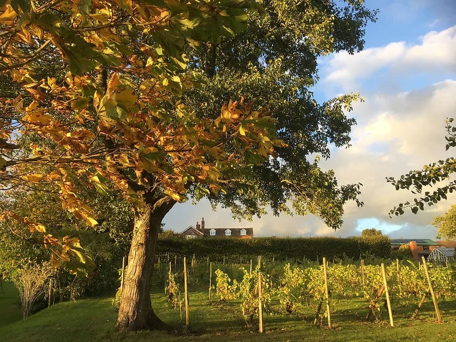 Kents Green — image 3