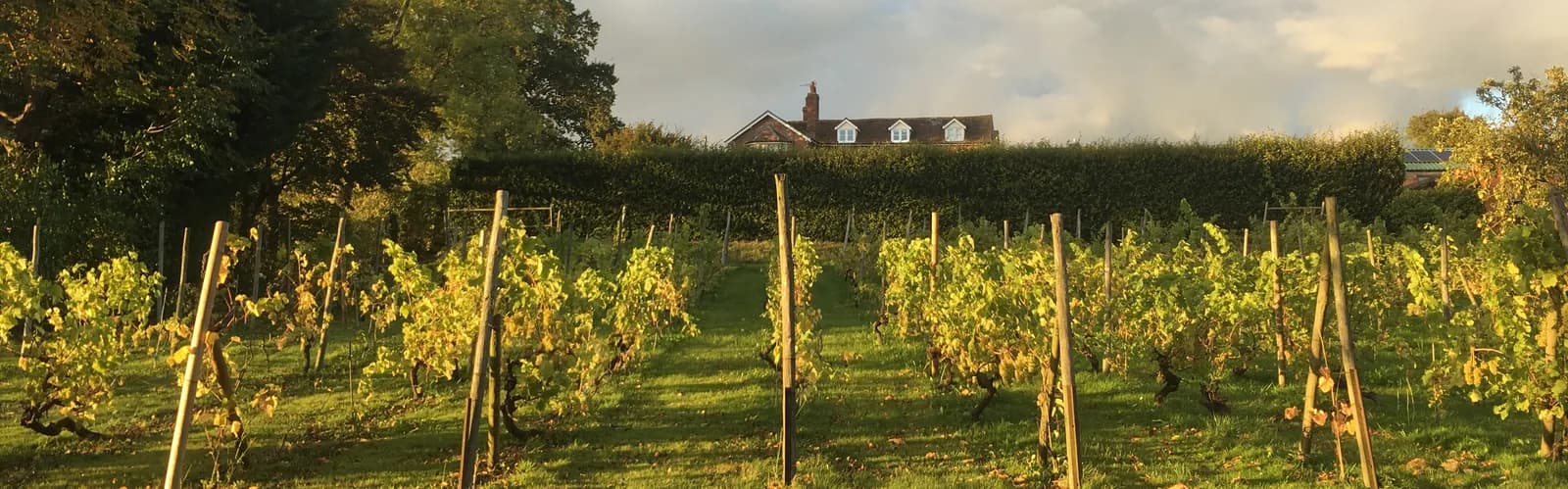 Kents Green — image 2