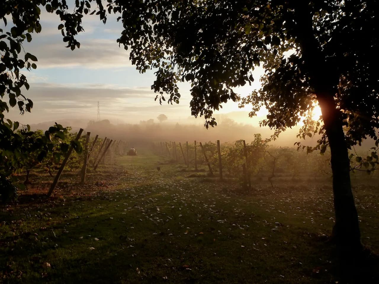 Oatley — image 2