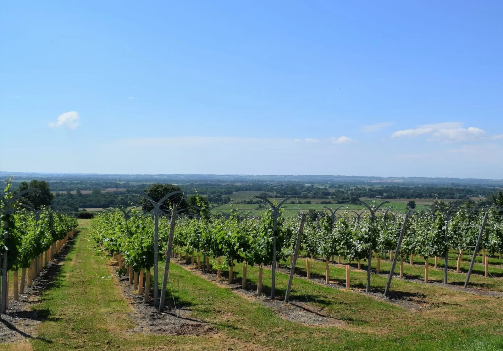 Mudgley Farm — image 2