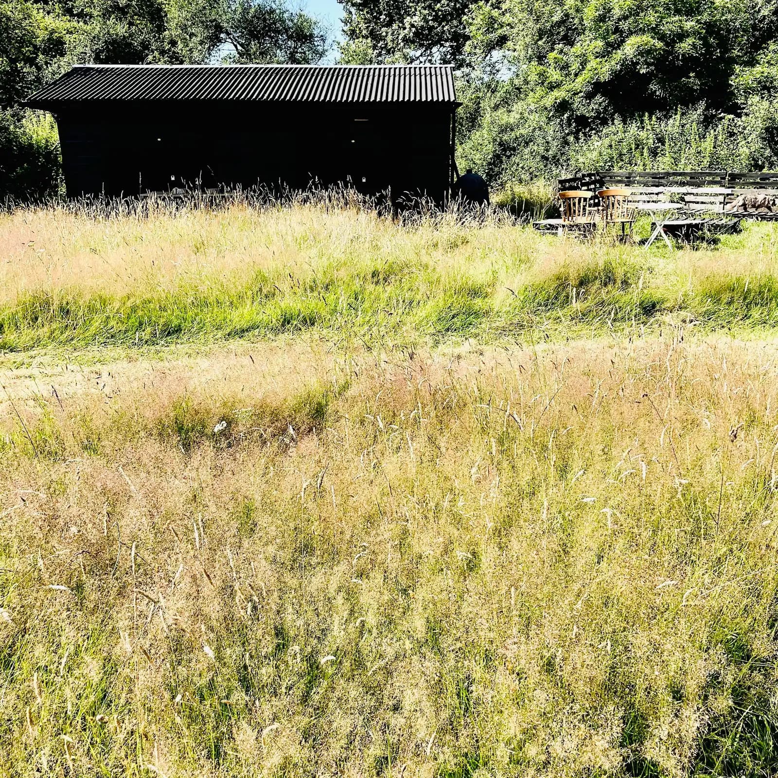 Woodfine Wine (Newbarn Farm) — image 2
