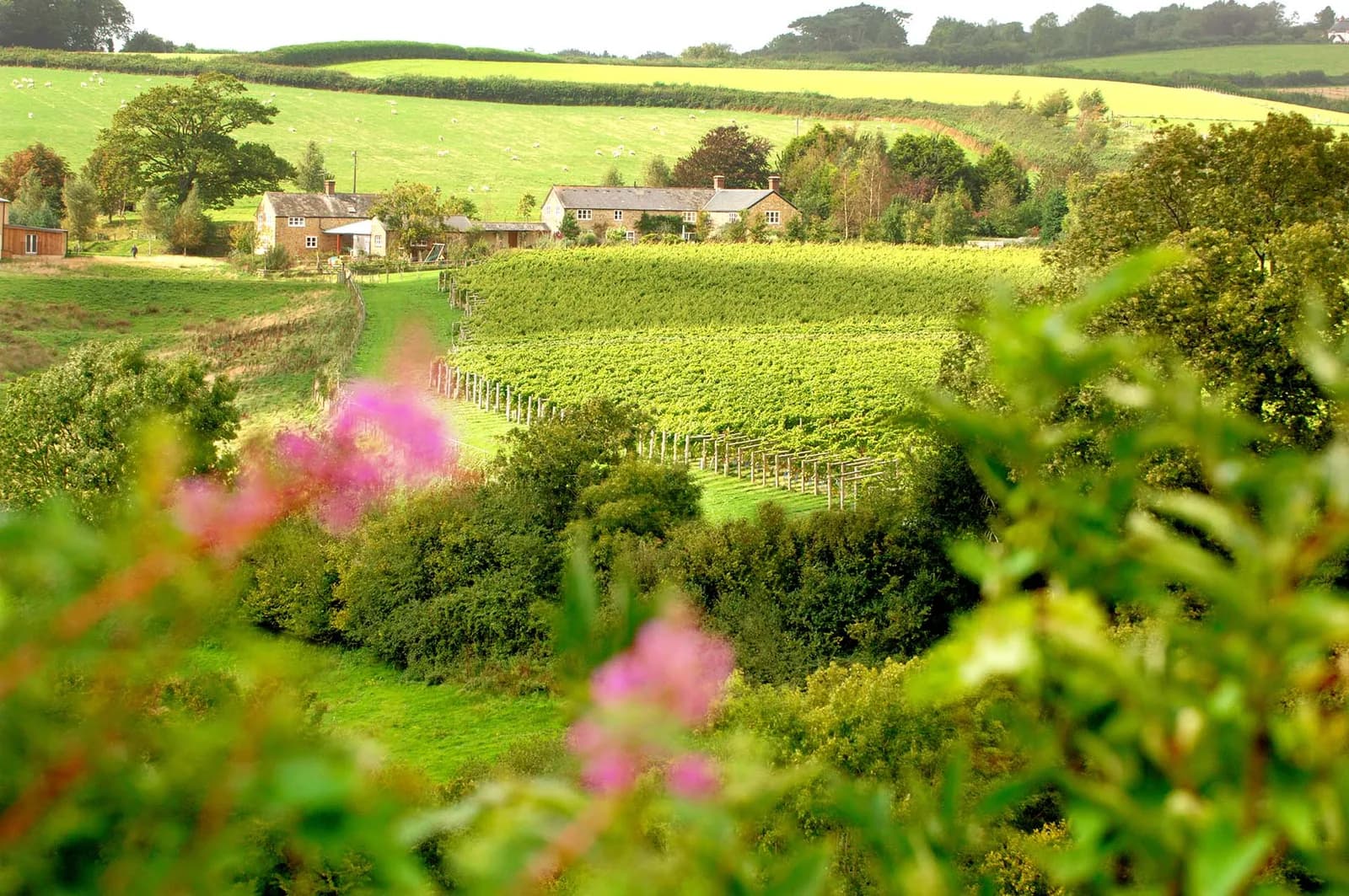 Furleigh — image 2