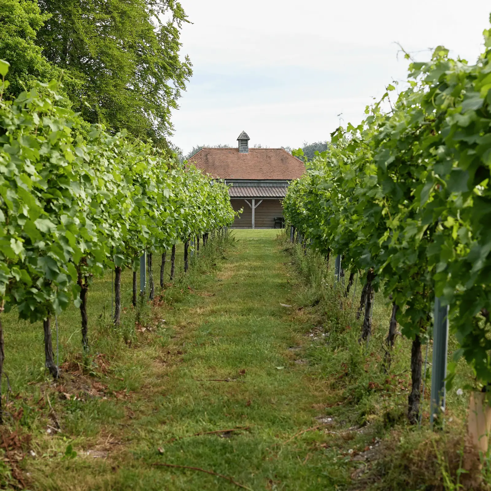 Bluestone — image 3