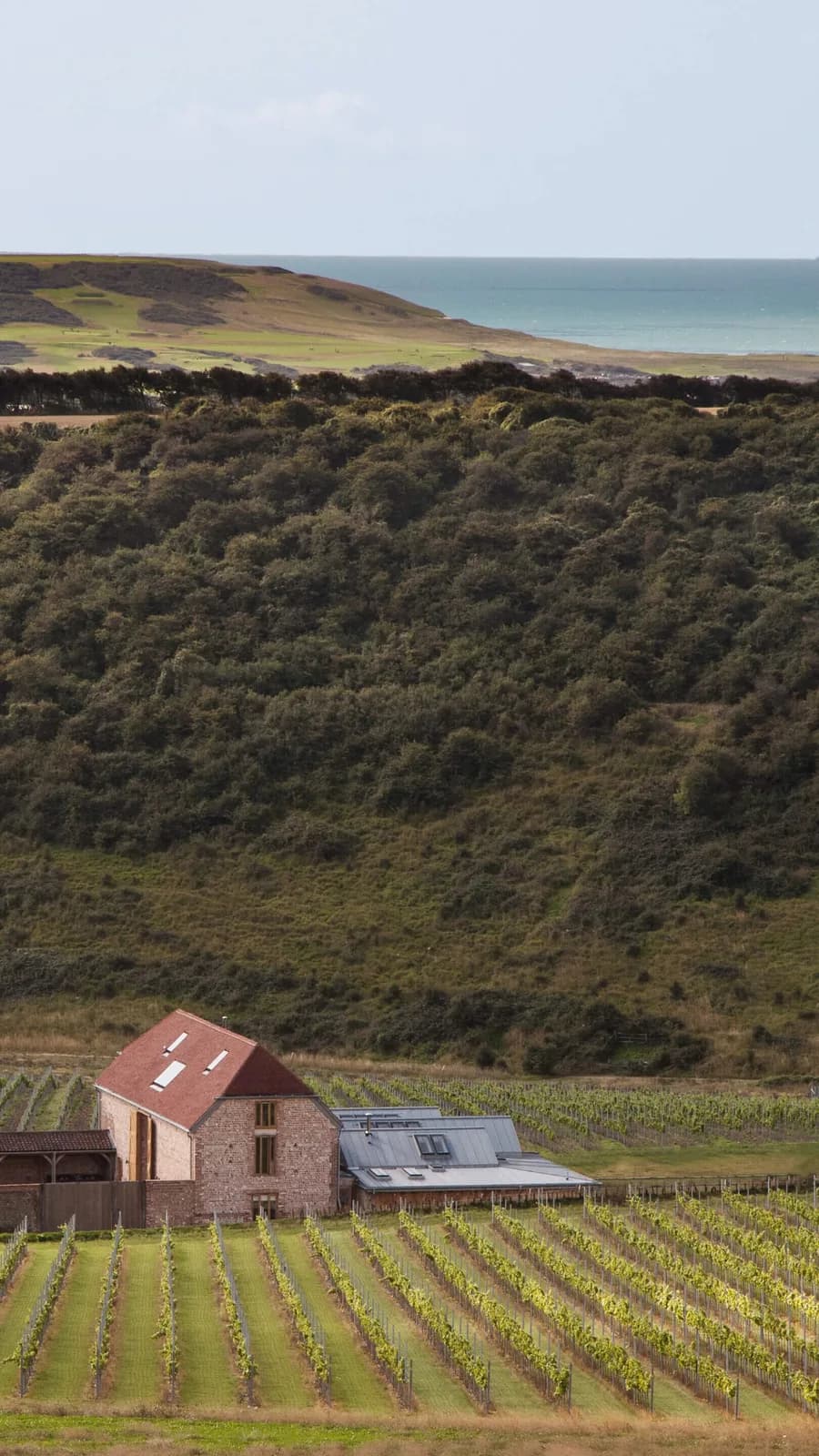 Rathfinny Wine Estate — image 2