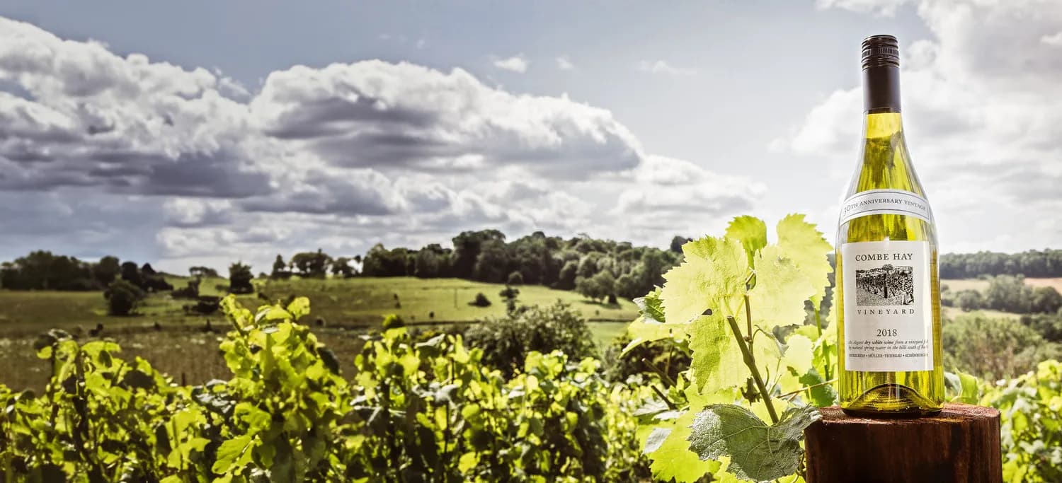 Combe Hay — image 3