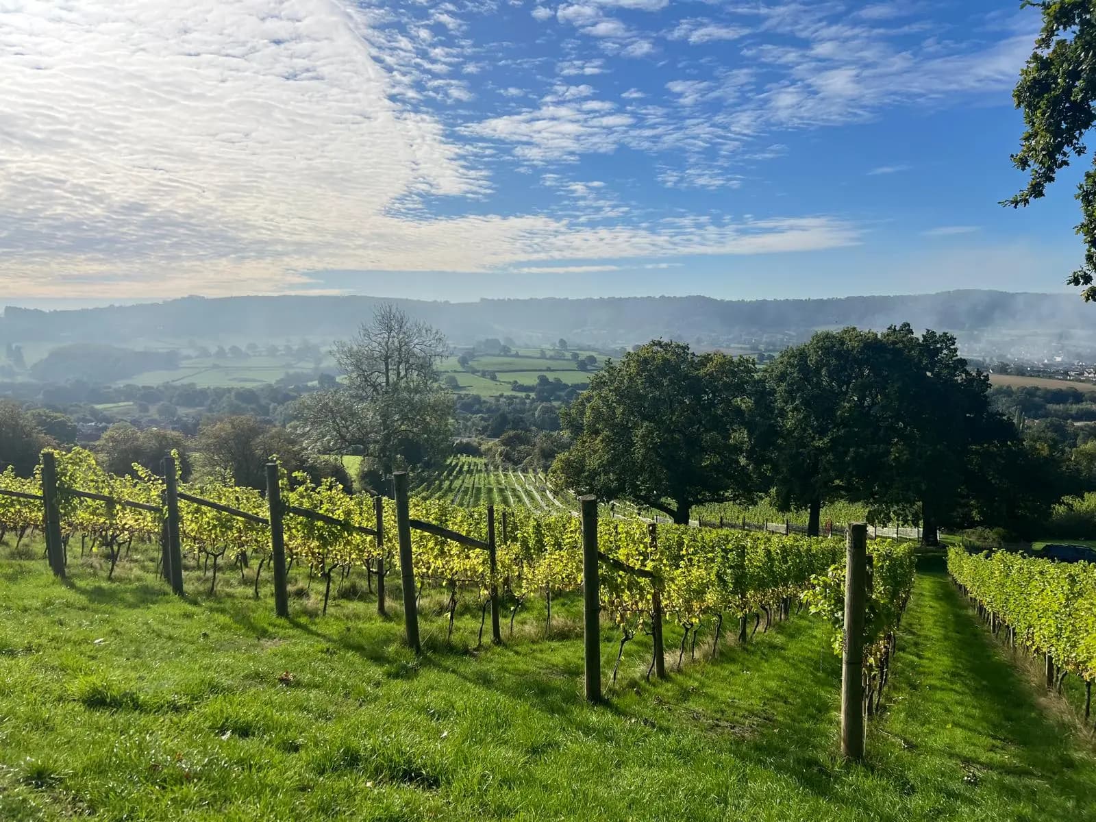 Woodchester Valley — image 3