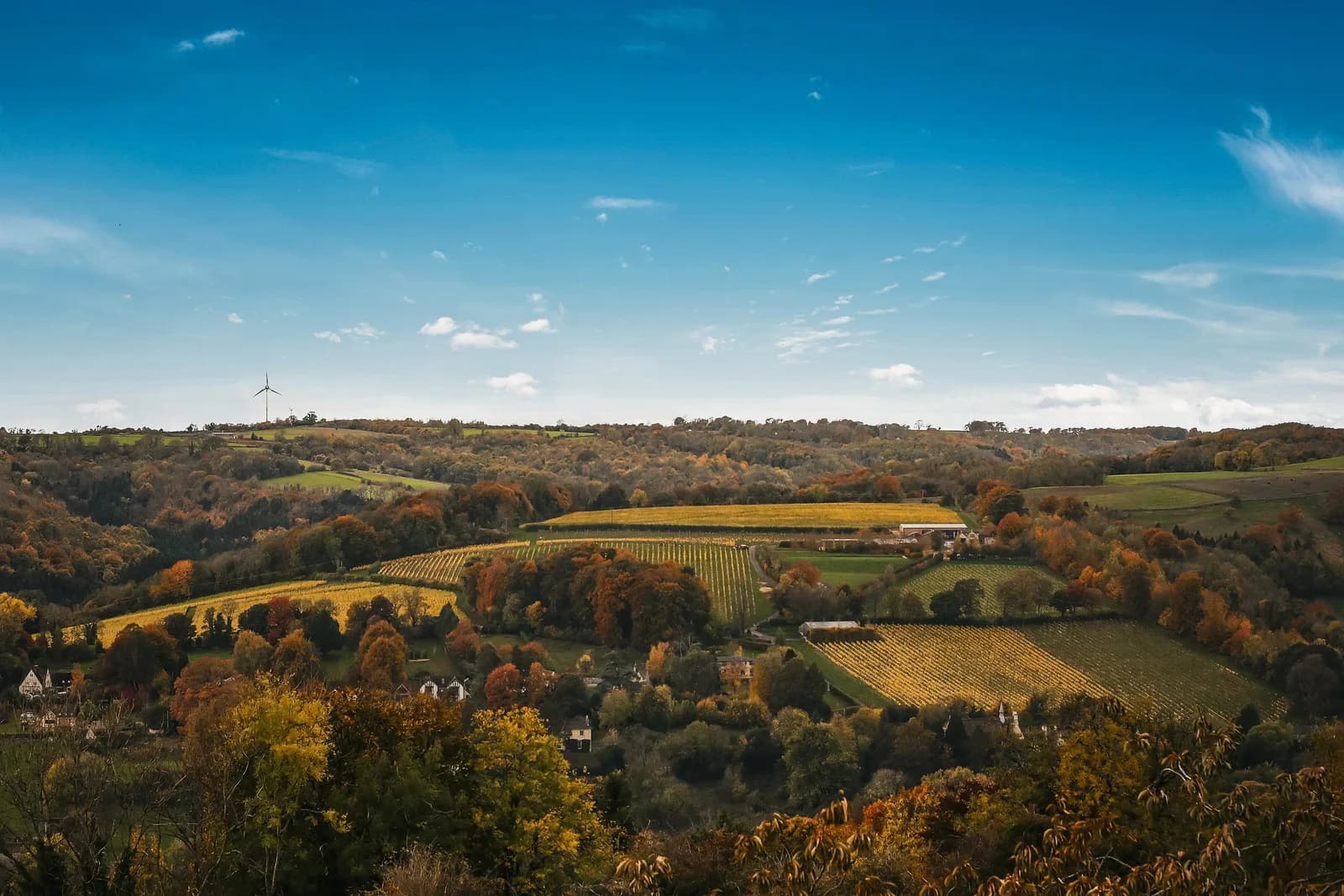 Woodchester Valley — image 2
