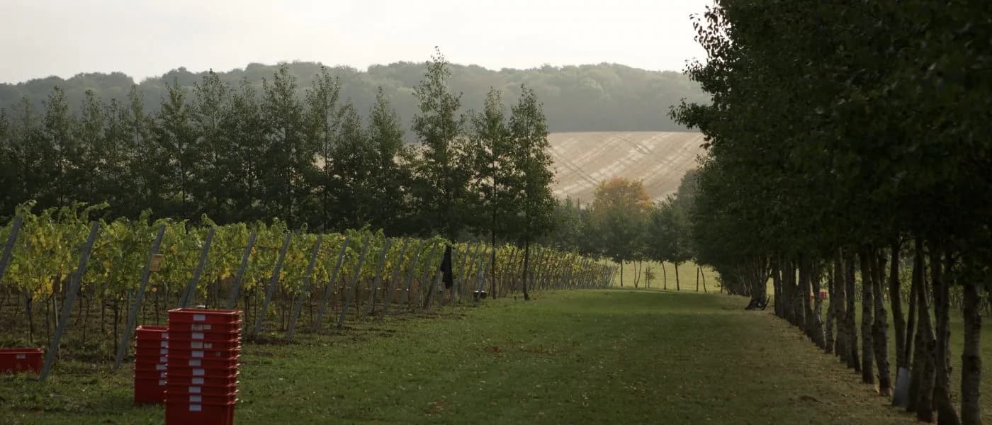 Saffron Grange — image 2