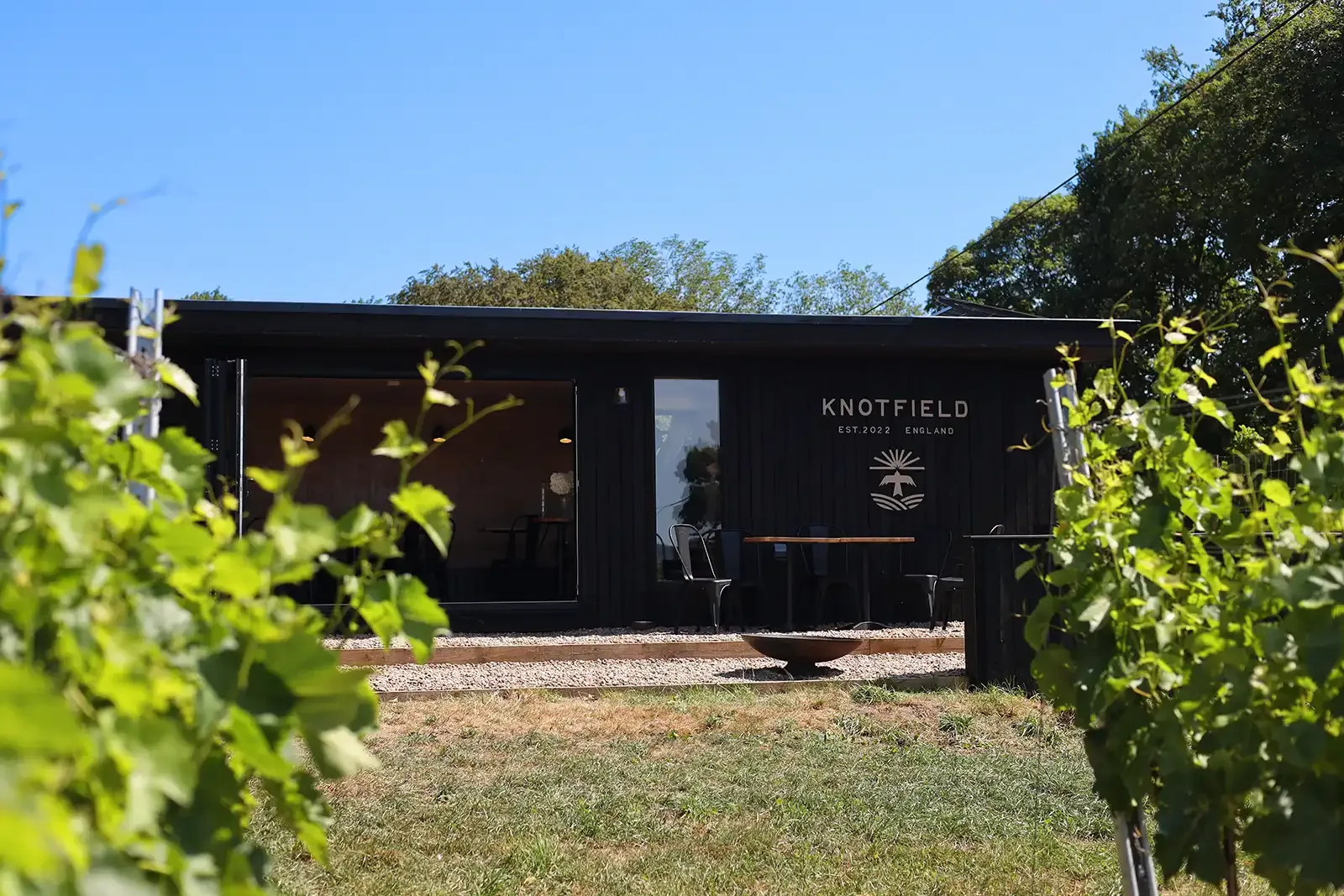Knotfield Vines — image 1