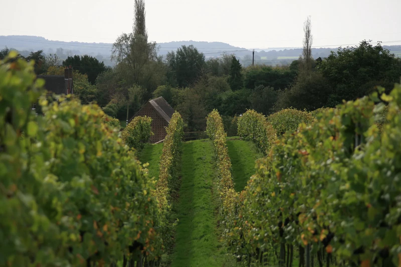 Pattingham — image 2