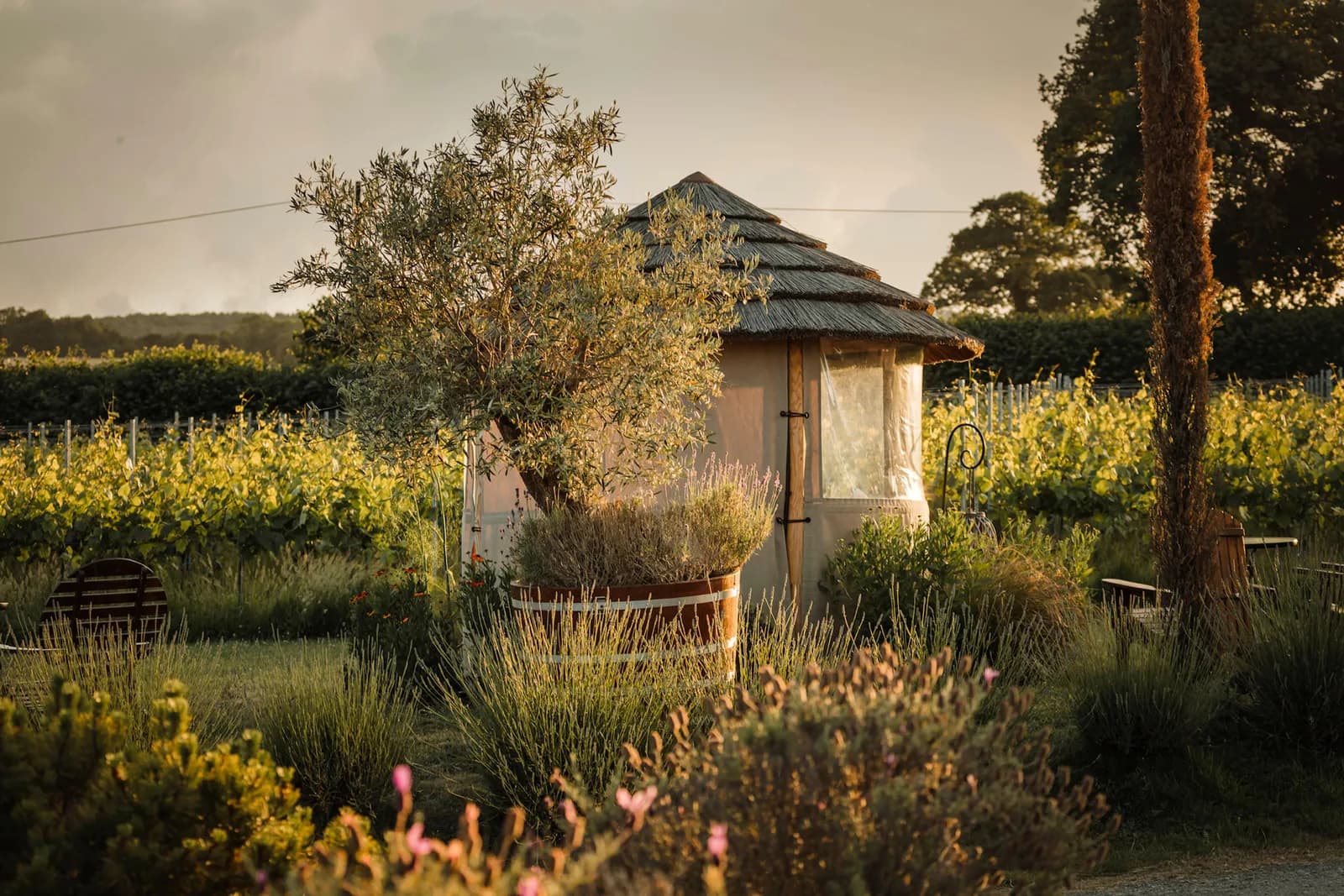 Kenton Park — image 2