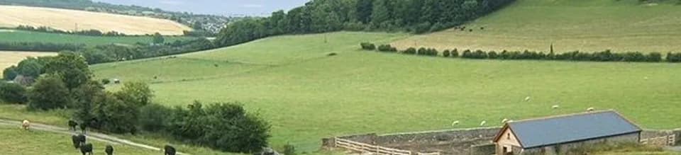 Sompting Estate Vineyard (Titch Hill) — image 2