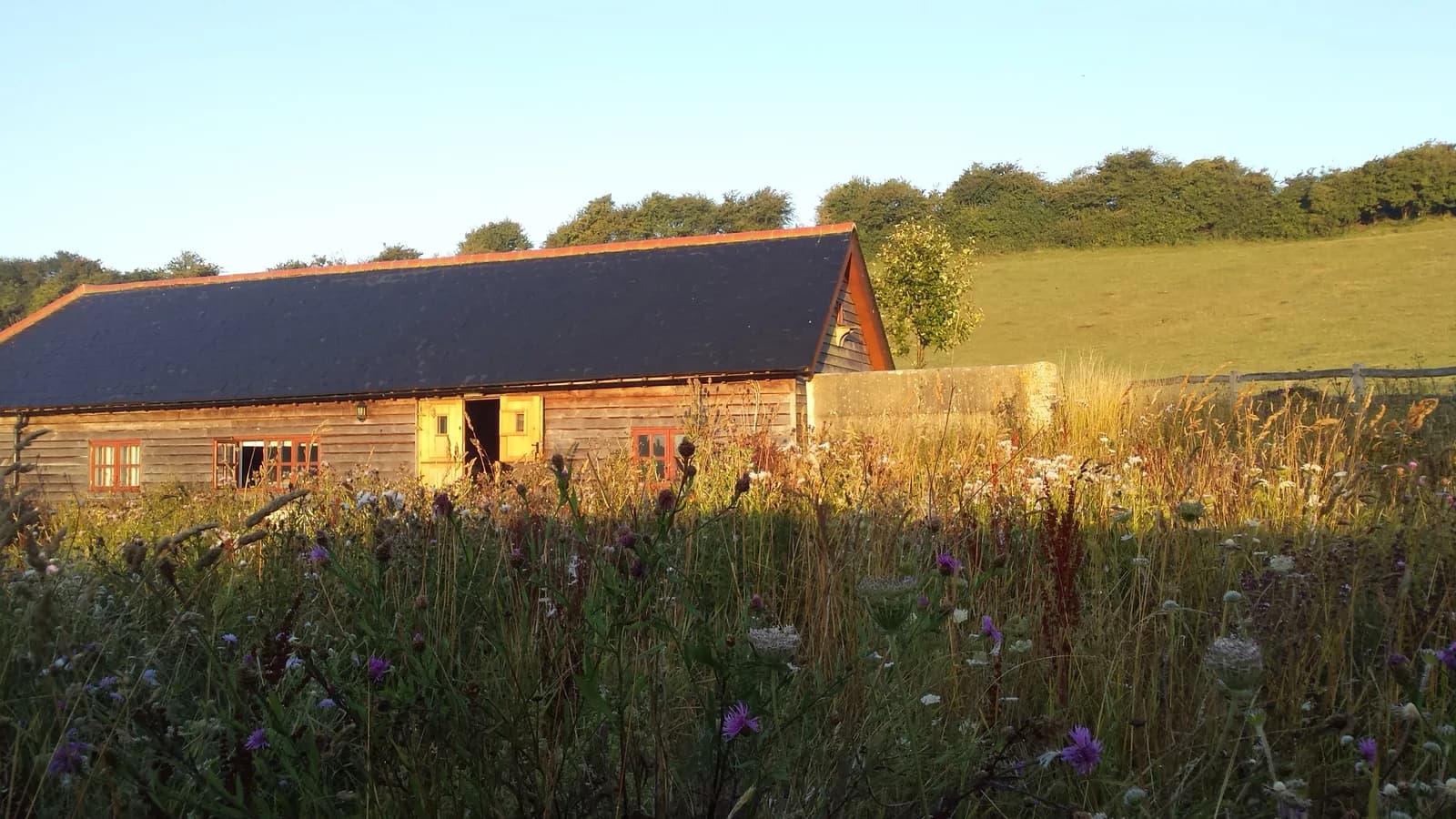 Sompting Estate Vineyard (Titch Hill) — image 1