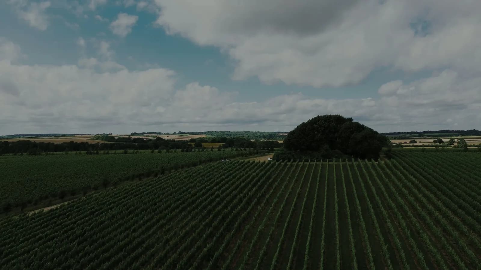 Louis Pommery at Pinglestone Estate — image 3