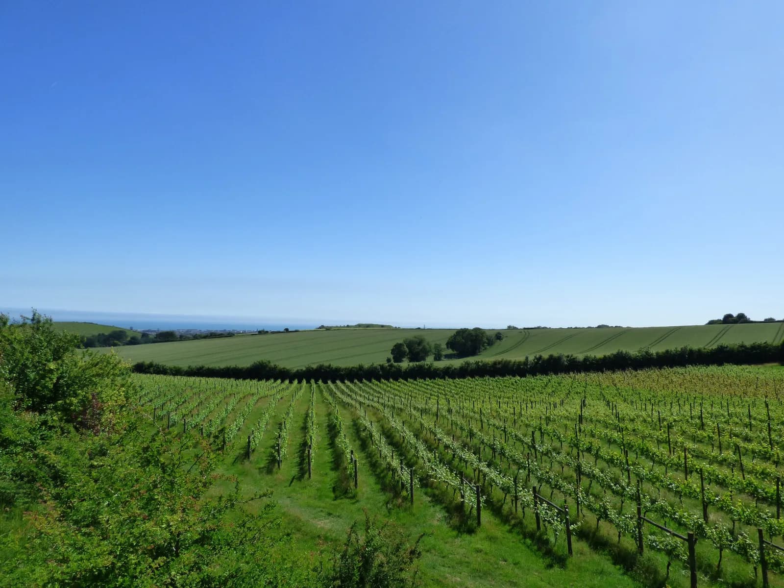 Terlingham — image 3