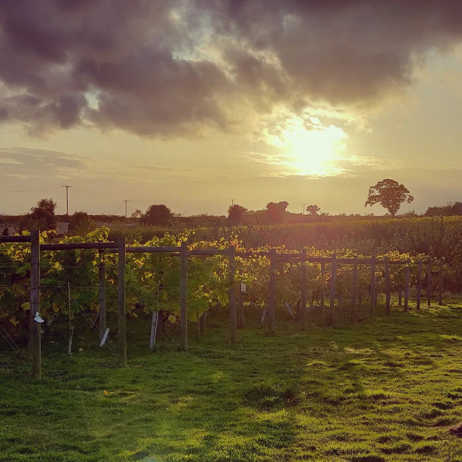 Ryedale — image 2