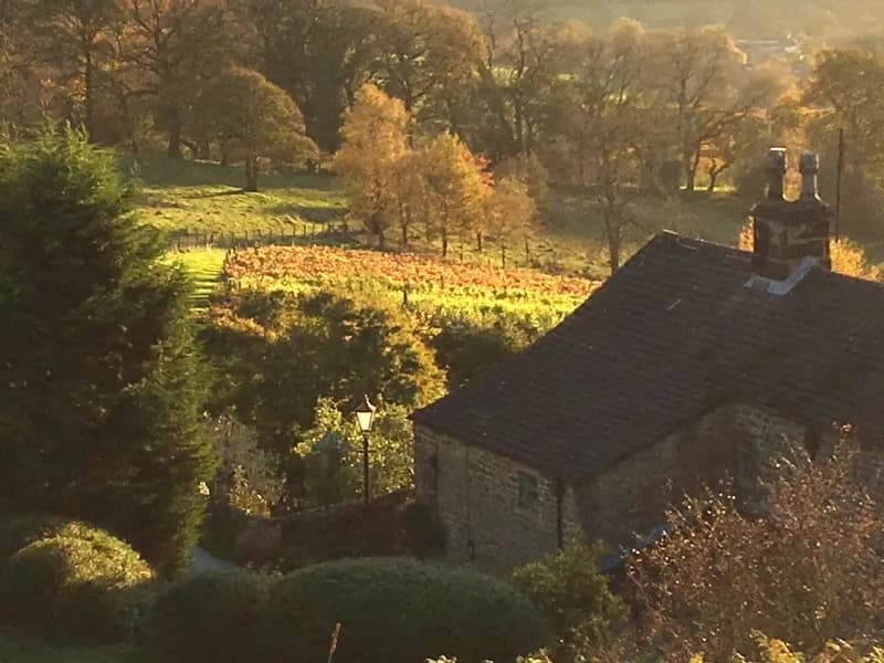 Hope Valley — image 2