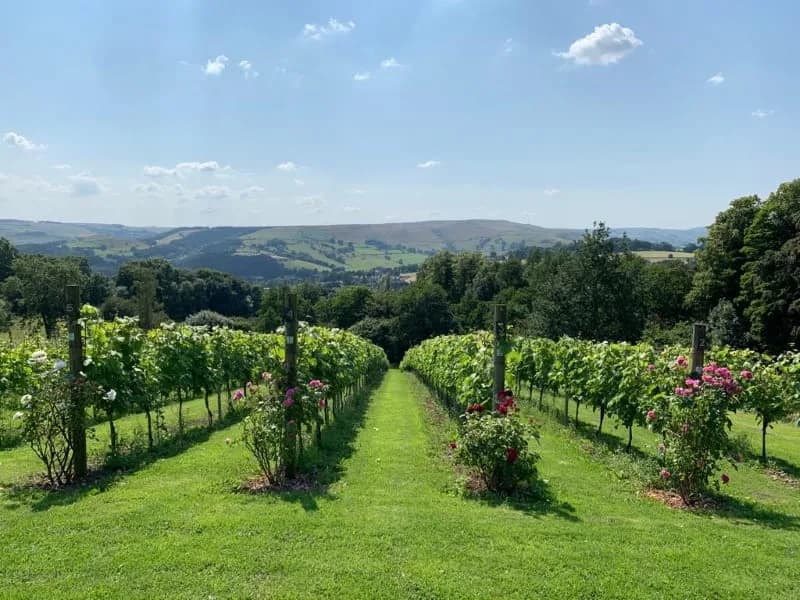 Hope Valley — image 3