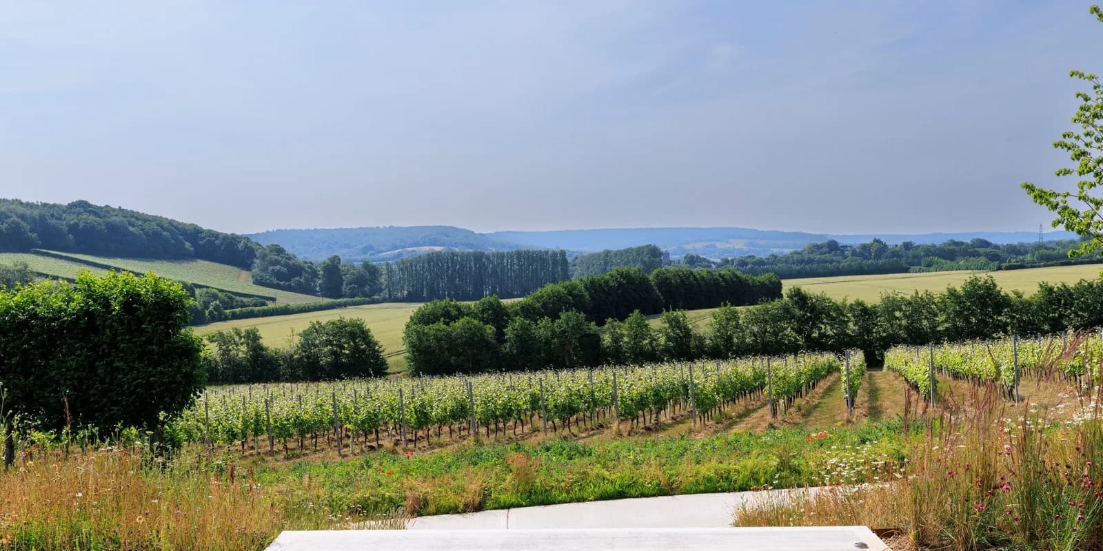 Domaine Evremond — image 2