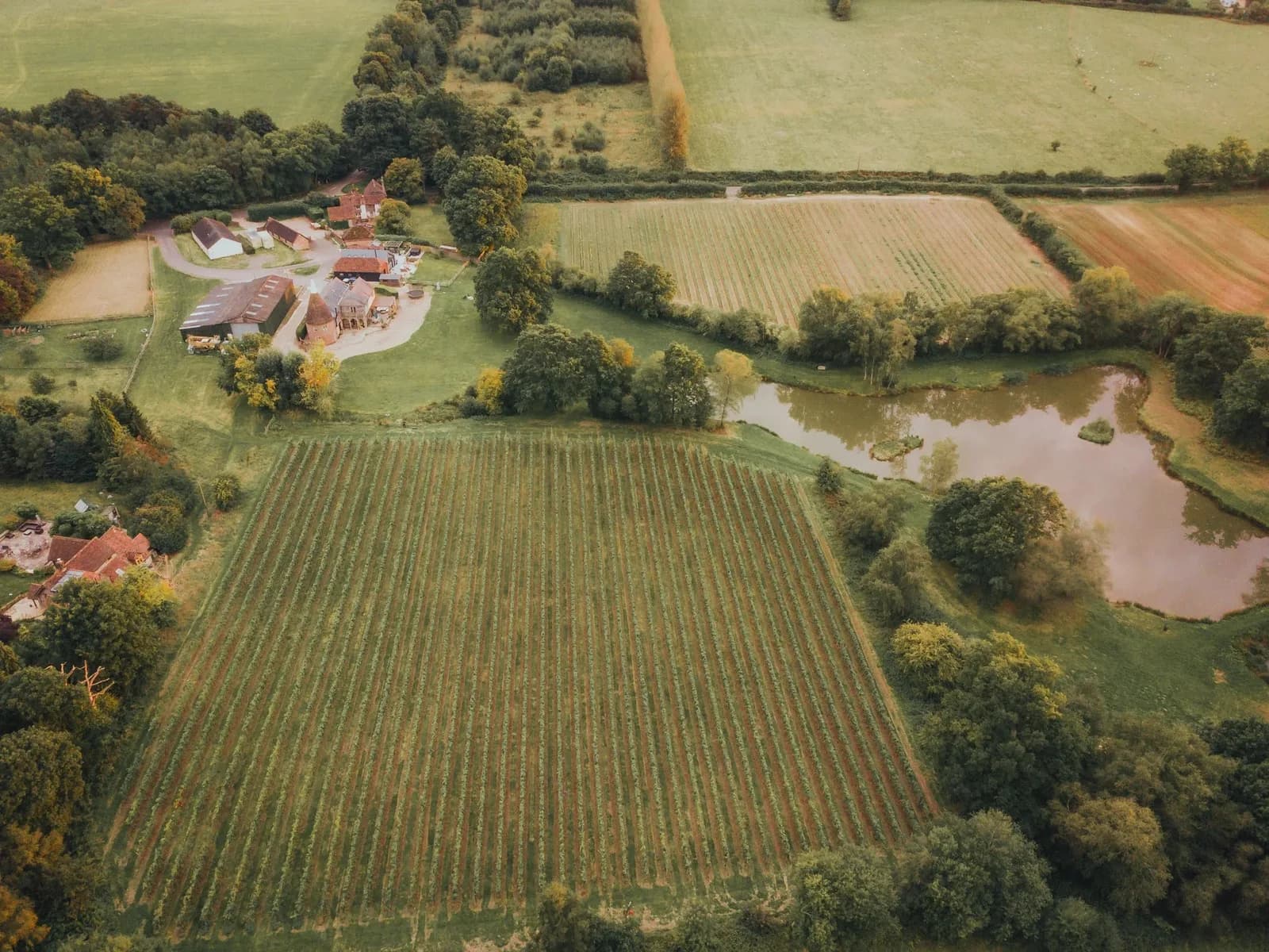 Birchden — image 2