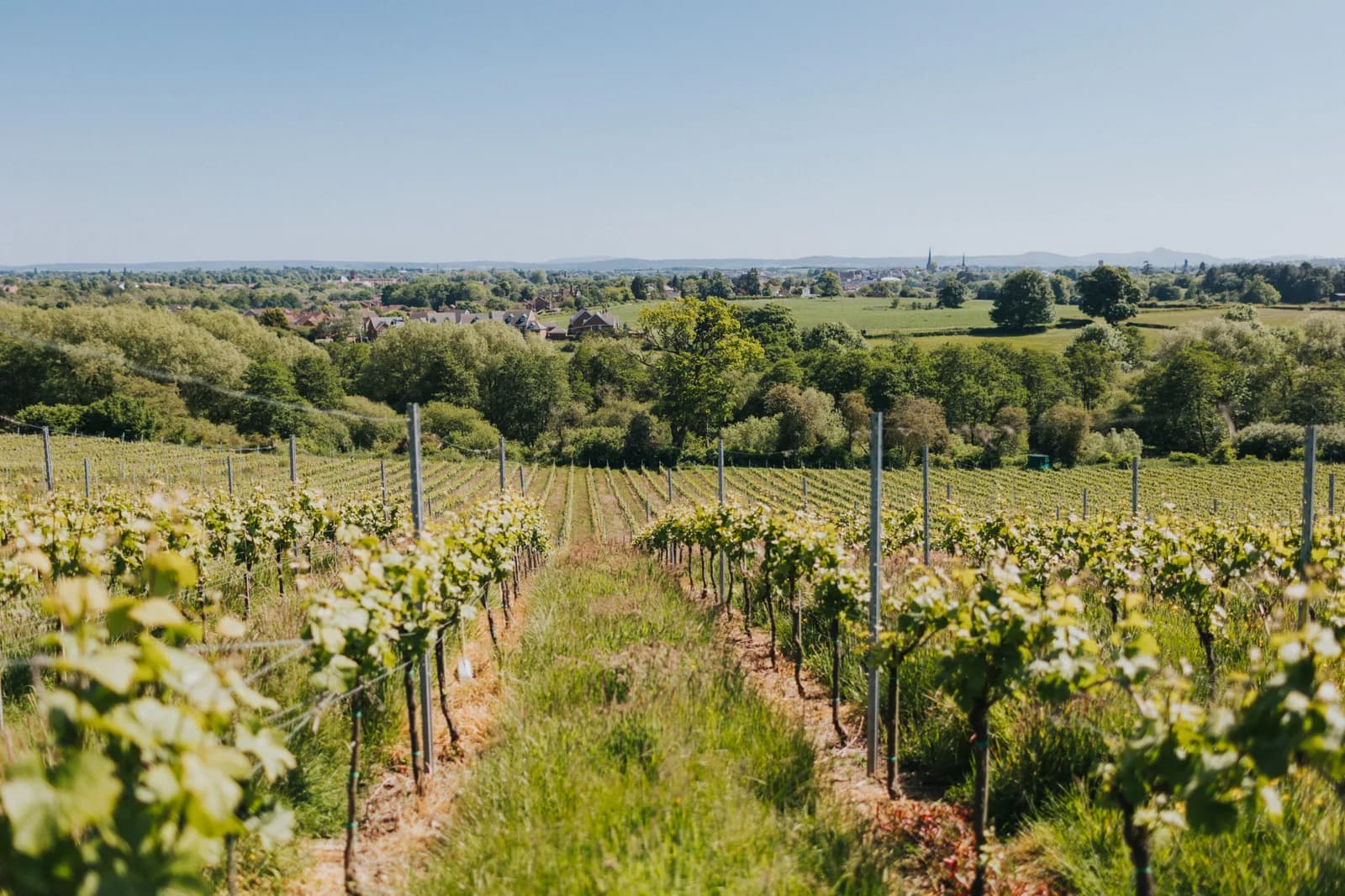 Hencote — image 3