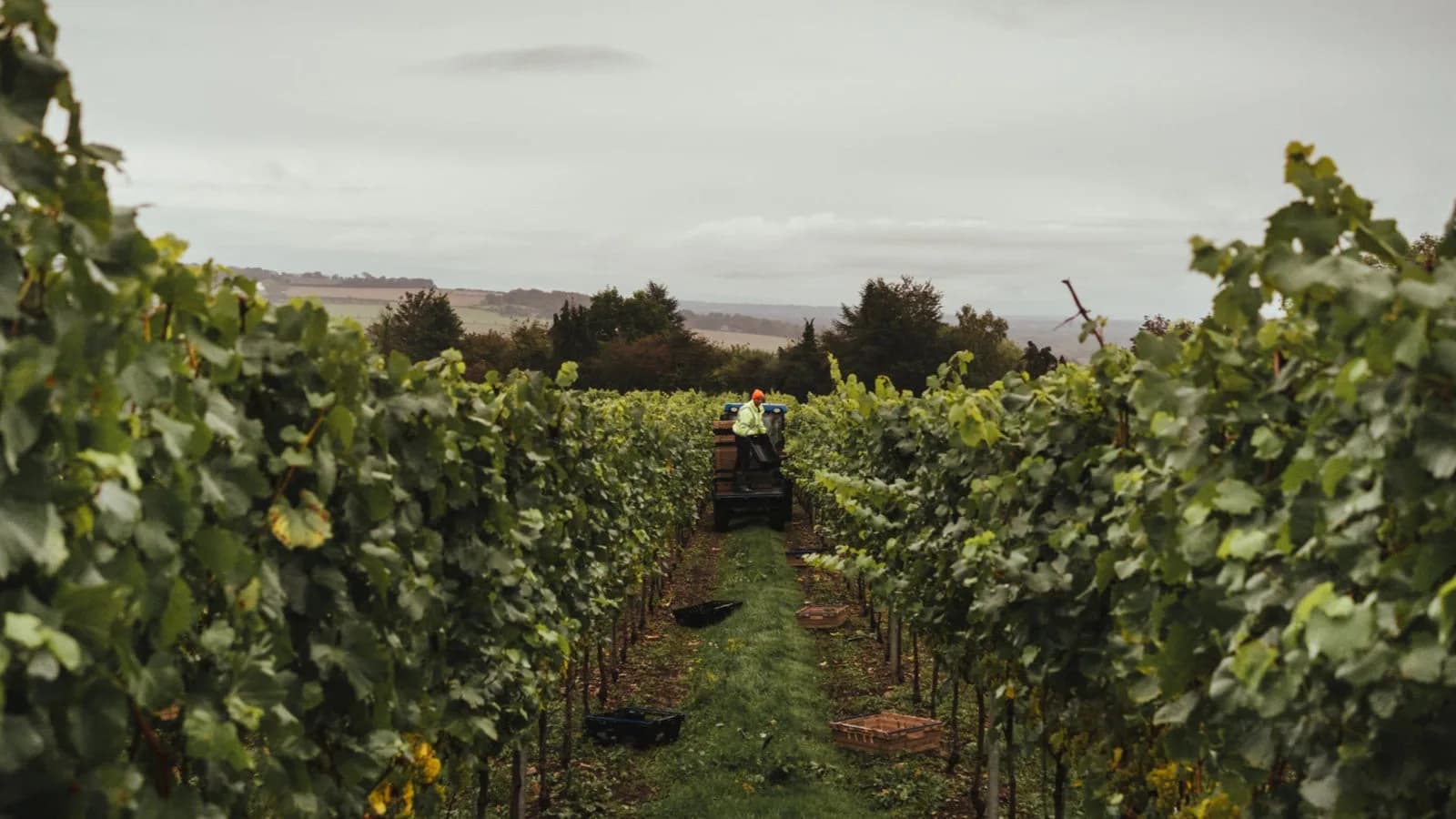 Mereworth — image 3