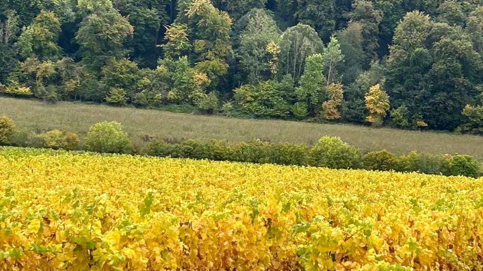 Marlow Valley — image 2