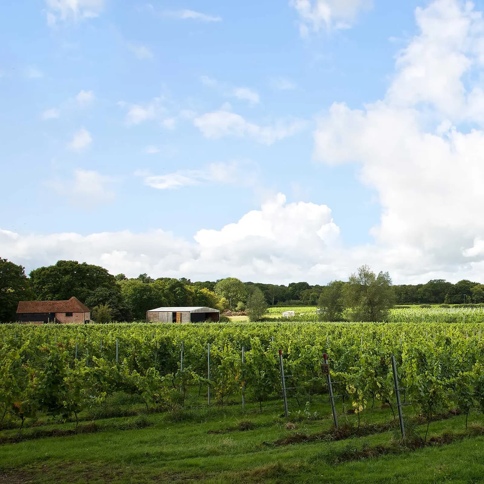 Oxney — image 2