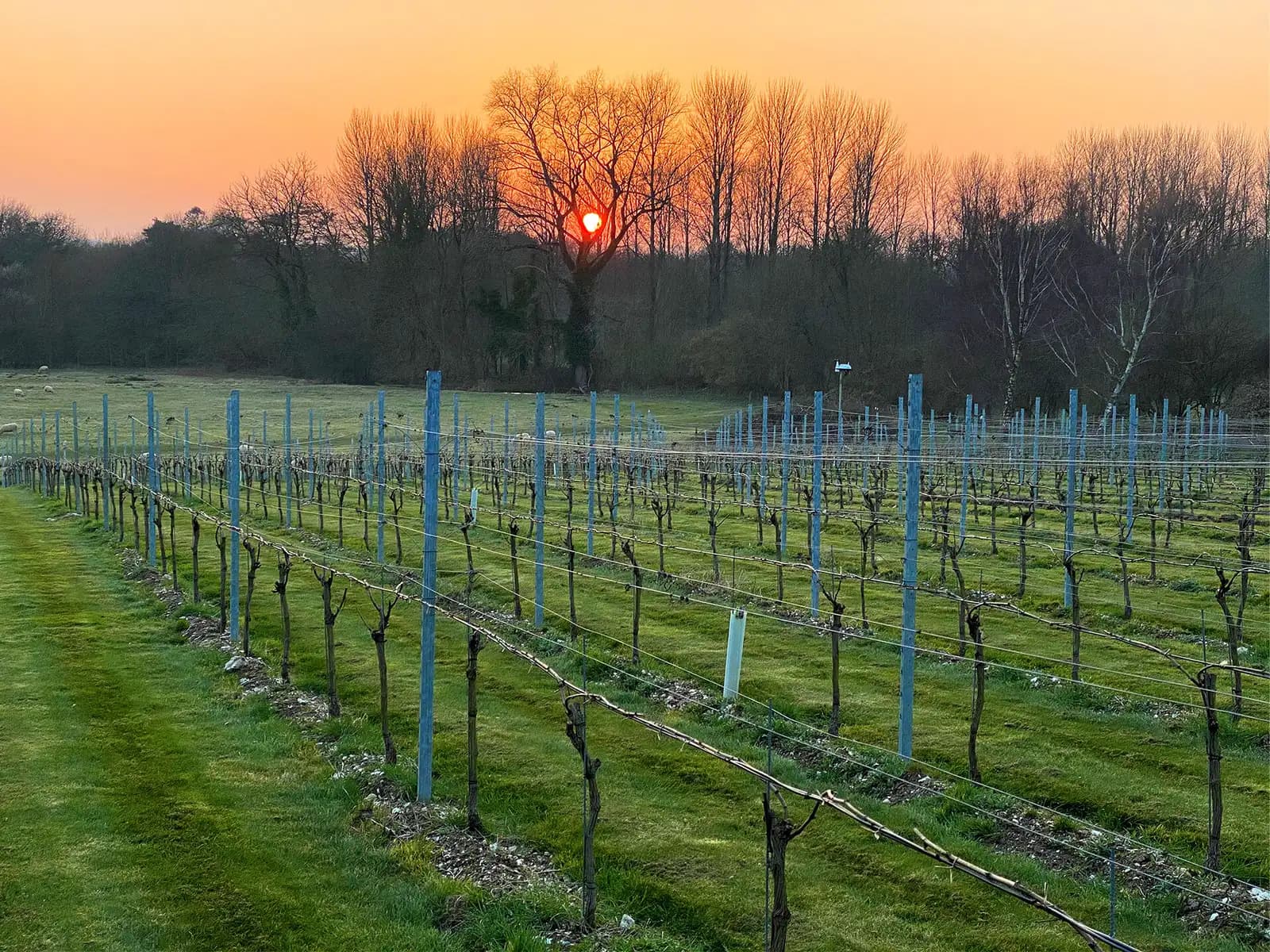 Goodworth Clatford — image 3
