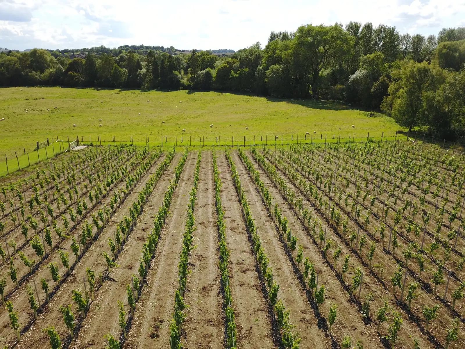 Goodworth Clatford — image 2