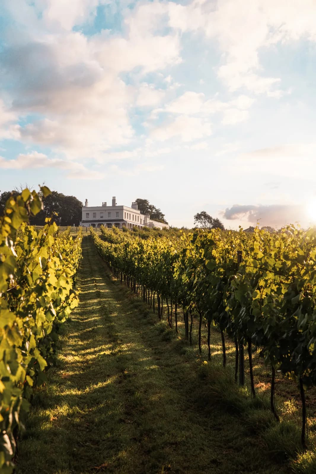 Lympstone Manor — image 2
