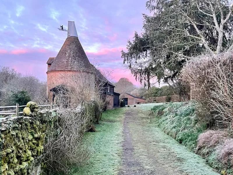 Mousehall — image 2