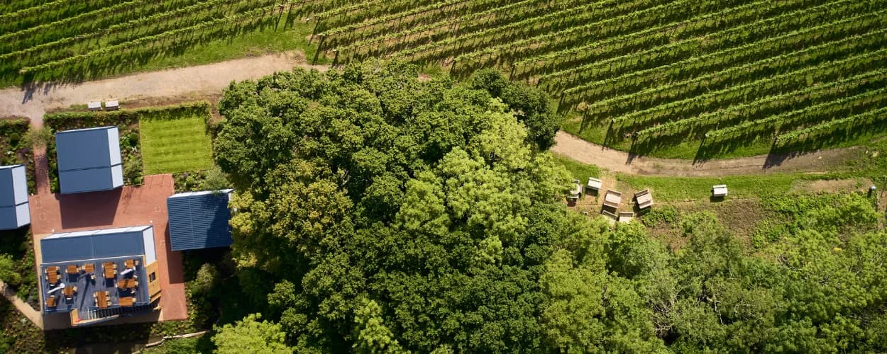Ridgeview — image 2