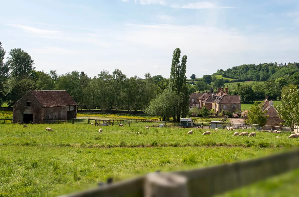 Kingsthorne — image 2